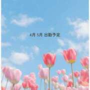 ヒメ日記 2026/04/08 13:42 投稿 喜多山あまね ミセス大阪日本橋店