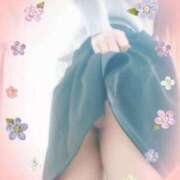 ヒメ日記 2026/02/17 10:15 投稿 秋月ひろみ ミセス大阪日本橋店