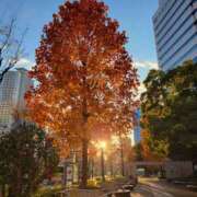 ヒメ日記 2024/12/17 19:11 投稿 天津みやび ミセス大阪日本橋店