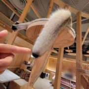 ヒメ日記 2024/12/28 15:33 投稿 天津みやび ミセス大阪日本橋店