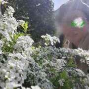 ヒメ日記 2025/03/27 12:49 投稿 天津みやび ミセス大阪日本橋店