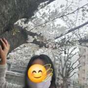 ヒメ日記 2025/03/30 12:16 投稿 天津みやび ミセス大阪日本橋店