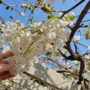 ヒメ日記 2025/04/17 11:53 投稿 天津みやび ミセス大阪日本橋店