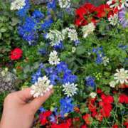 ヒメ日記 2025/06/03 22:02 投稿 天津みやび ミセス大阪日本橋店