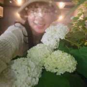 ヒメ日記 2025/06/08 12:49 投稿 天津みやび ミセス大阪日本橋店