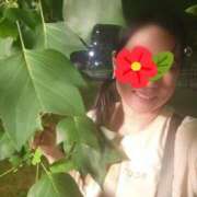 ヒメ日記 2025/07/19 17:09 投稿 天津みやび ミセス大阪日本橋店