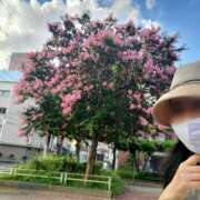 ヒメ日記 2025/08/04 16:59 投稿 天津みやび ミセス大阪日本橋店