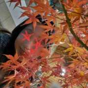 ヒメ日記 2025/12/18 15:35 投稿 天津みやび ミセス大阪日本橋店