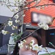 ヒメ日記 2026/01/20 23:41 投稿 天津みやび ミセス大阪日本橋店