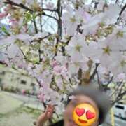 ヒメ日記 2026/03/30 19:28 投稿 天津みやび ミセス大阪日本橋店