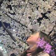 ヒメ日記 2026/03/31 22:37 投稿 天津みやび ミセス大阪日本橋店