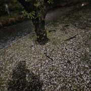 ヒメ日記 2026/04/10 23:20 投稿 天津みやび ミセス大阪日本橋店
