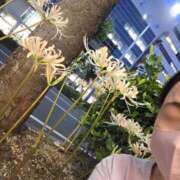 ヒメ日記 2026/09/25 09:59 投稿 天津みやび ひとづま百花