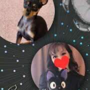 ヒメ日記 2025/02/05 09:28 投稿 桜まり ミセス大阪日本橋店