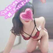 ヒメ日記 2025/03/19 08:11 投稿 桜まり ミセス大阪日本橋店