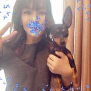 ヒメ日記 2025/04/14 10:05 投稿 桜まり ミセス大阪日本橋店