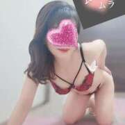 ヒメ日記 2025/05/05 08:48 投稿 桜まり ミセス大阪日本橋店