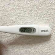 ヒメ日記 2026/02/08 07:18 投稿 らお ぷるるん小町 京橋店