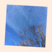 ヒメ日記 2024/12/10 08:03 投稿 沢本しのぶ TSUBAKI（水戸）