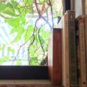 ヒメ日記 2024/12/21 23:18 投稿 沢本しのぶ TSUBAKI（水戸）