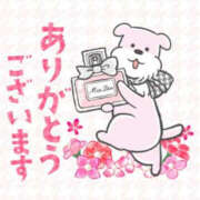 ヒメ日記 2025/02/10 12:15 投稿 沢本しのぶ TSUBAKI（水戸）