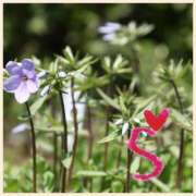 ヒメ日記 2025/02/11 22:47 投稿 沢本しのぶ TSUBAKI（水戸）