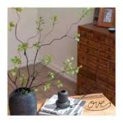 ヒメ日記 2025/02/24 10:02 投稿 沢本しのぶ TSUBAKI（水戸）