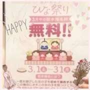 ヒメ日記 2025/03/15 12:10 投稿 沢本しのぶ TSUBAKI（水戸）