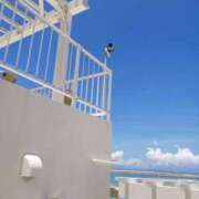 ヒメ日記 2025/03/22 16:50 投稿 沢本しのぶ TSUBAKI（水戸）