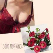 ヒメ日記 2025/03/23 10:45 投稿 沢本しのぶ TSUBAKI（水戸）