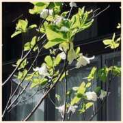 ヒメ日記 2025/05/03 13:24 投稿 沢本しのぶ TSUBAKI（水戸）