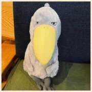 ヒメ日記 2025/05/09 18:20 投稿 沢本しのぶ TSUBAKI（水戸）