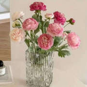 ヒメ日記 2025/05/11 19:11 投稿 沢本しのぶ TSUBAKI（水戸）