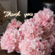 ヒメ日記 2025/05/15 14:53 投稿 沢本しのぶ TSUBAKI（水戸）