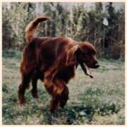 ヒメ日記 2025/05/20 22:21 投稿 沢本しのぶ TSUBAKI（水戸）