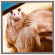 ヒメ日記 2025/05/26 22:44 投稿 沢本しのぶ TSUBAKI（水戸）