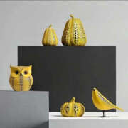 ヒメ日記 2025/05/28 18:08 投稿 沢本しのぶ TSUBAKI（水戸）