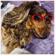 ヒメ日記 2025/06/03 10:54 投稿 沢本しのぶ TSUBAKI（水戸）