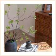 ヒメ日記 2025/06/09 20:37 投稿 沢本しのぶ TSUBAKI（水戸）