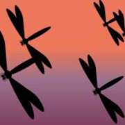 ヒメ日記 2025/06/27 14:42 投稿 沢本しのぶ TSUBAKI（水戸）