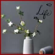 ヒメ日記 2025/06/30 18:47 投稿 沢本しのぶ TSUBAKI（水戸）