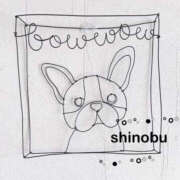 ヒメ日記 2025/08/31 16:48 投稿 沢本しのぶ TSUBAKI（水戸）