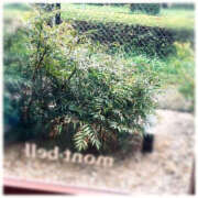 ヒメ日記 2025/09/05 21:20 投稿 沢本しのぶ TSUBAKI（水戸）