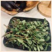 ヒメ日記 2025/09/06 16:58 投稿 沢本しのぶ TSUBAKI（水戸）