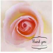 ヒメ日記 2025/09/21 06:51 投稿 沢本しのぶ TSUBAKI（水戸）