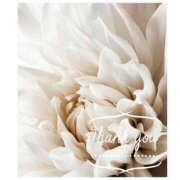 ヒメ日記 2025/09/21 15:24 投稿 沢本しのぶ TSUBAKI（水戸）