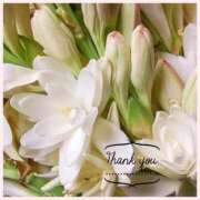 ヒメ日記 2025/10/25 17:38 投稿 沢本しのぶ TSUBAKI（水戸）