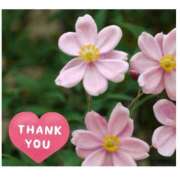 ヒメ日記 2025/10/25 21:42 投稿 沢本しのぶ TSUBAKI（水戸）