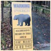 ヒメ日記 2025/11/08 11:01 投稿 沢本しのぶ TSUBAKI（水戸）