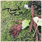 ヒメ日記 2025/11/08 23:25 投稿 沢本しのぶ TSUBAKI（水戸）